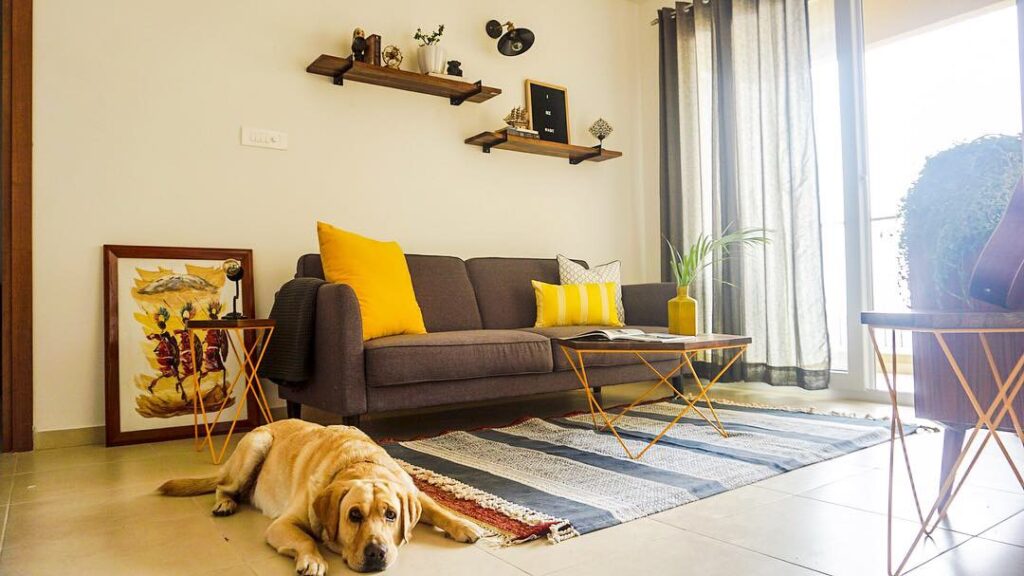 Bachelor Pad On A Budget