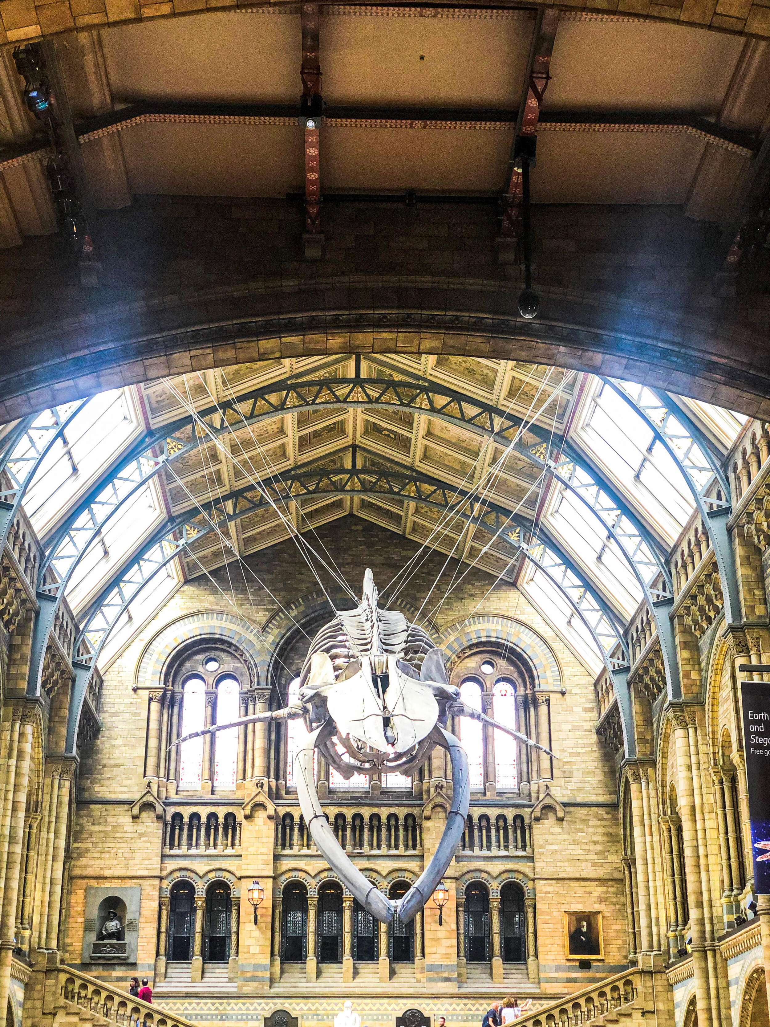  See the world famous museum’s dinosaurs. Entry is free so it can get a little crowded, go on to their website and see what’s on display while you visit. When we visited the enchanting Museum of the Moon was on display at the NHM. 