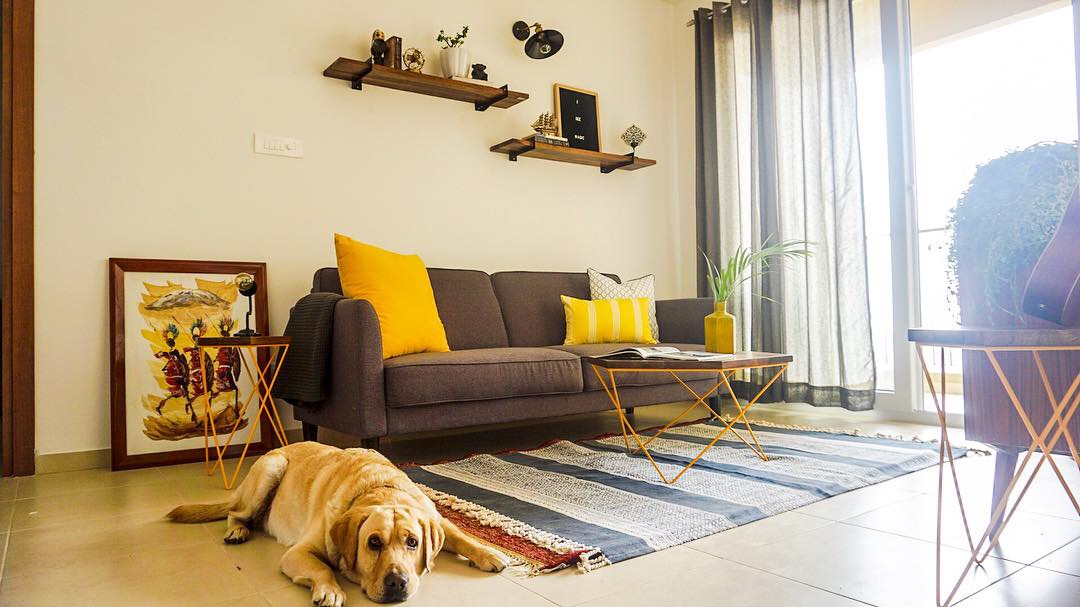 Bachelor Pad On A Budget